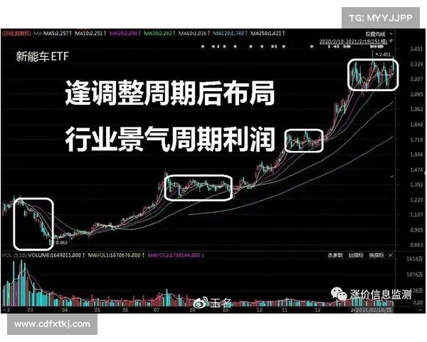 战场策略与心理博弈的深度互动与影响分析 战场策略与心理博弈的深度互动与影响分析