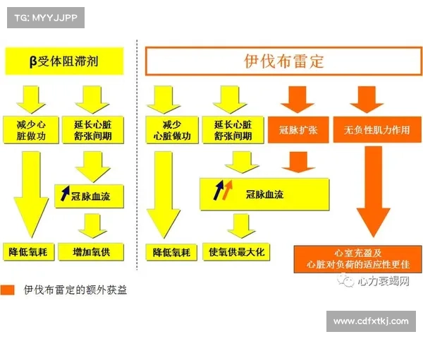 全面提升战力的高效养成策略与实用技巧指南助你快速突破极限 全面提升战力的高效养成策略与实用技巧指南助你快速突破极限