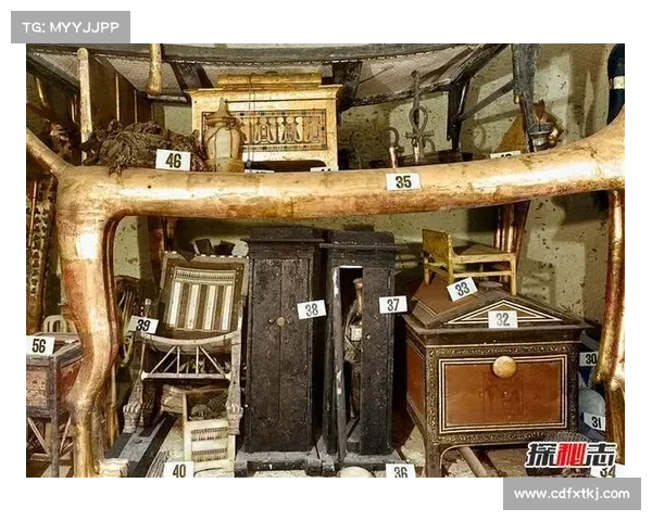 摩尔庄园探险指南揭秘如何快速找到隐藏宝藏的技巧与方法